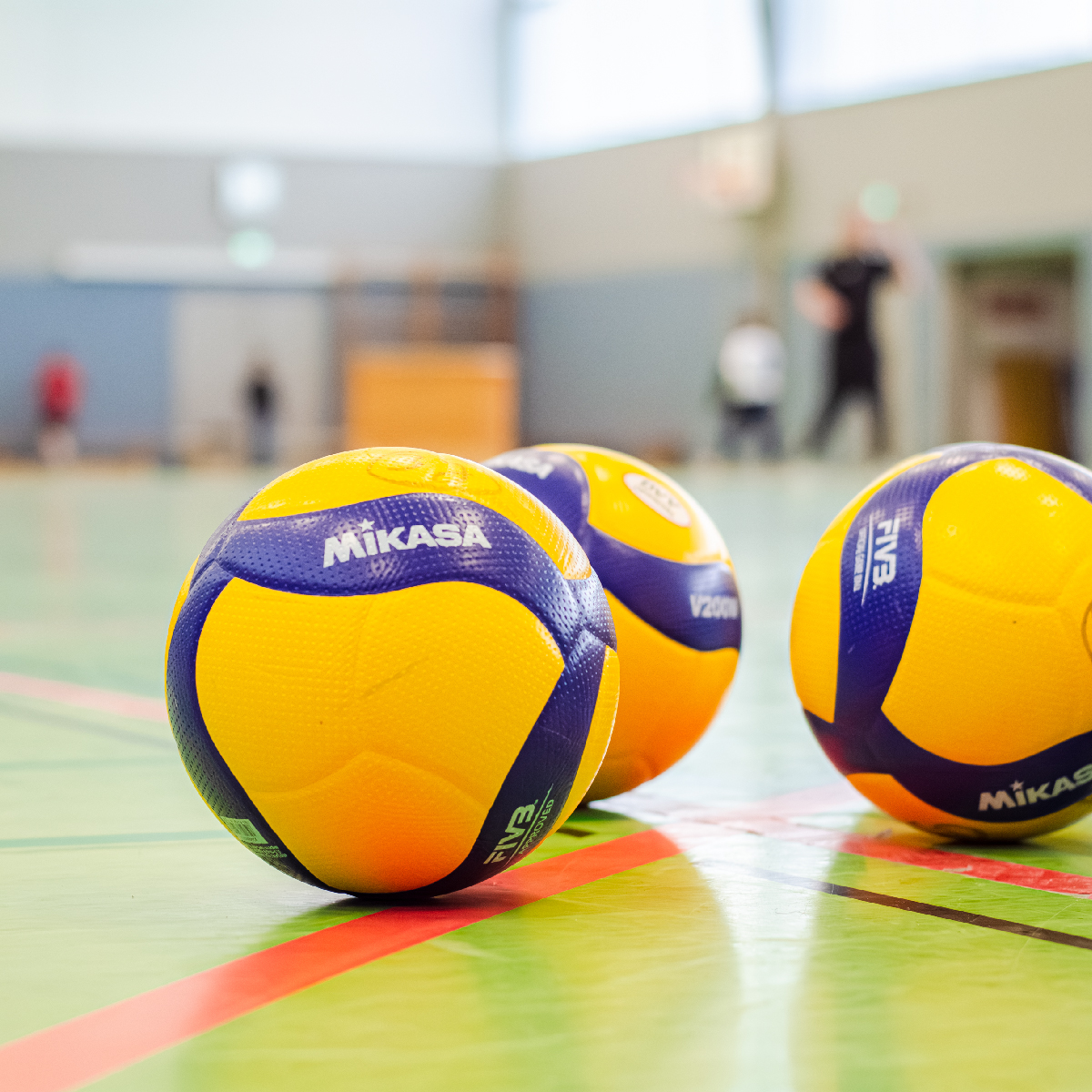 https://vg-delmenhorst-stenum.de/wp-content/uploads/2023/05/Volleyball_Uhland-Halle_Delmenhorst_Zeichenflaeche-1.jpg